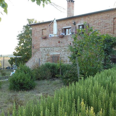 Agriturismo Santa Maria Torrita di Siena Bagian luar foto