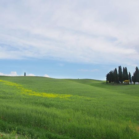 Agriturismo Santa Maria Torrita di Siena Bagian luar foto