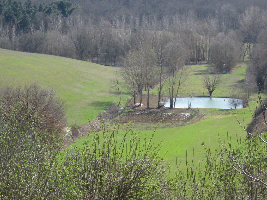 Agriturismo Santa Maria Torrita di Siena Bagian luar foto