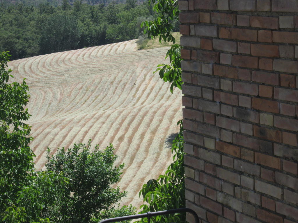 Agriturismo Santa Maria Torrita di Siena Bagian luar foto