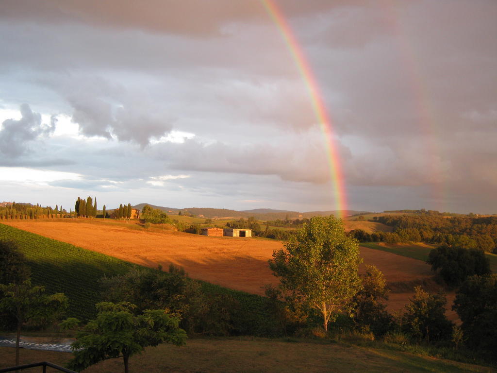 Agriturismo Santa Maria Torrita di Siena Bagian luar foto