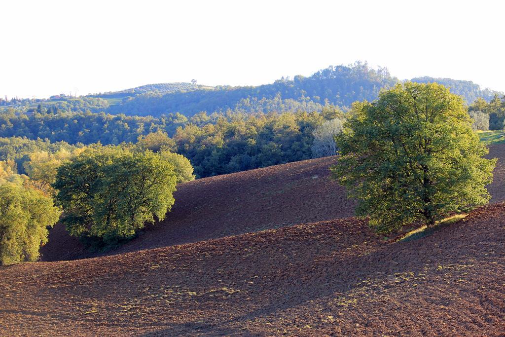 Agriturismo Santa Maria Torrita di Siena Bagian luar foto