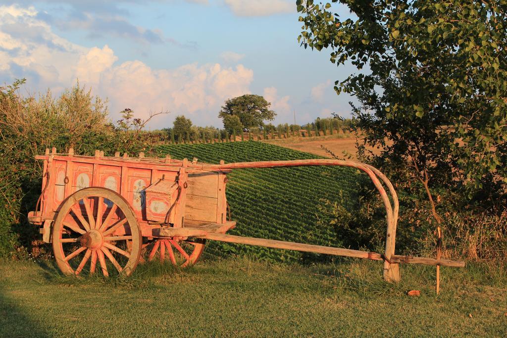 Agriturismo Santa Maria Torrita di Siena Bagian luar foto