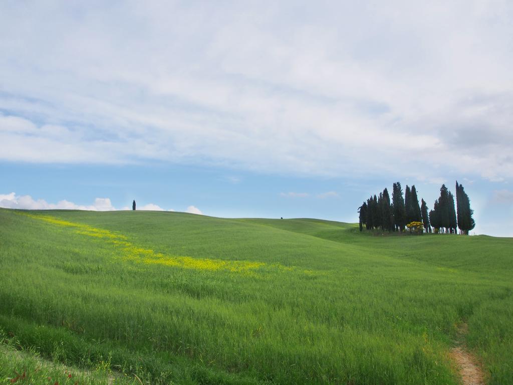 Agriturismo Santa Maria Torrita di Siena Bagian luar foto