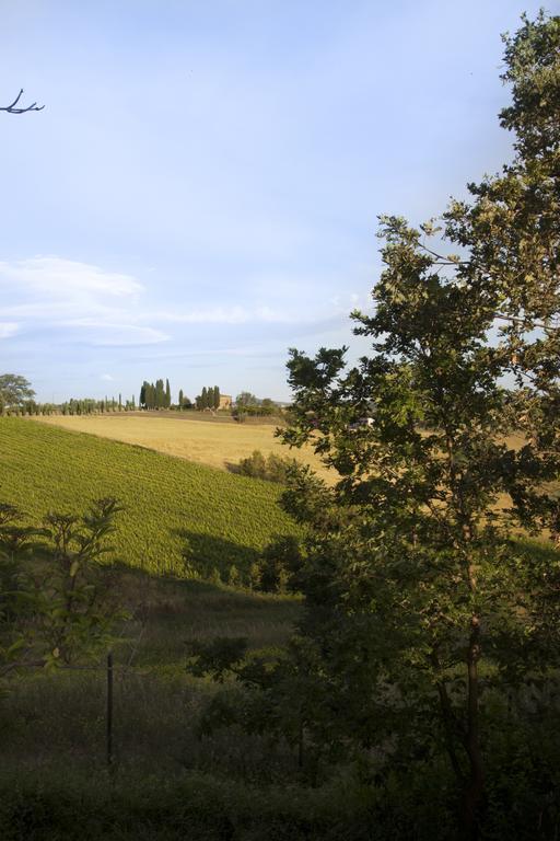 Agriturismo Santa Maria Torrita di Siena Bagian luar foto