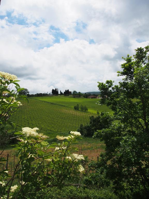 Agriturismo Santa Maria Torrita di Siena Bagian luar foto