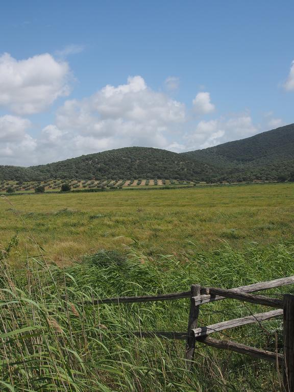 Agriturismo Santa Maria Torrita di Siena Bagian luar foto