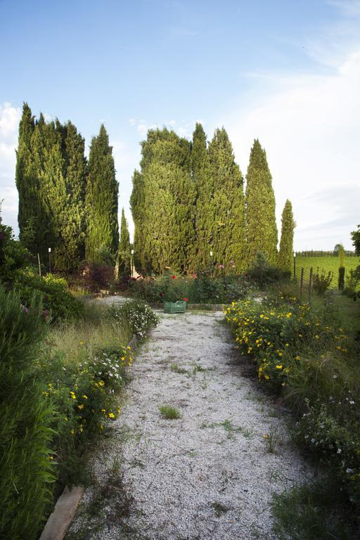 Agriturismo Santa Maria Torrita di Siena Bagian luar foto